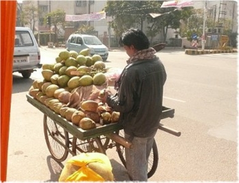 Images/delhi 077.jpg